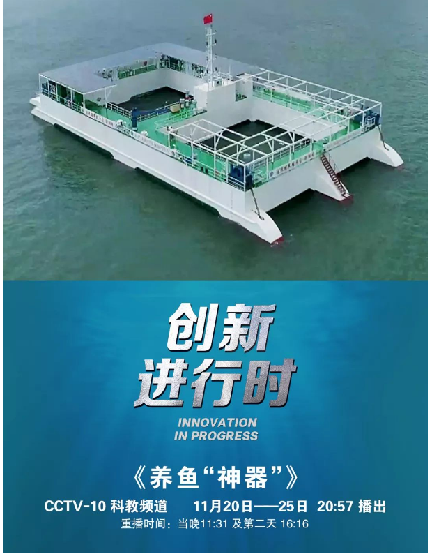 風(fēng)再猛、浪再大，都攔不住我養(yǎng)魚(yú)的雄心！